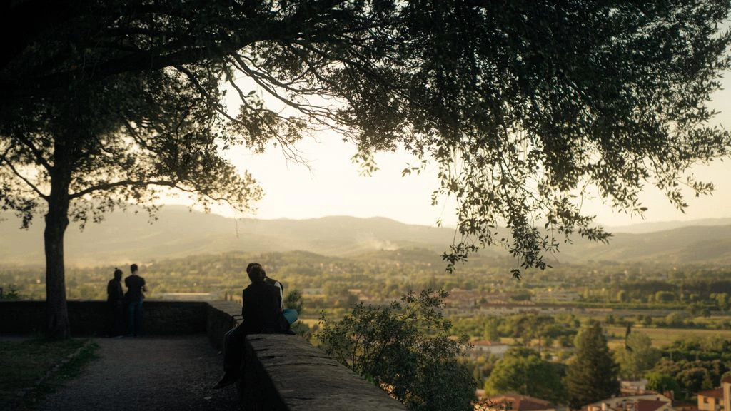 The Russo family estate at Capaccio Paestum, terraced into the Cilento olive groves at golden hour.